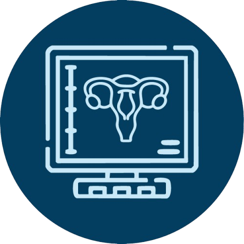 Iconos_web_IDDC_Img_de_la_mujer